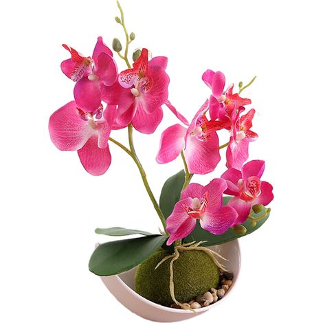 Plante Artificielle - Phalaenopsis En Pot - Contenant Forme De Lune - Décoration Intérieure - 1 Pièce (1/5)