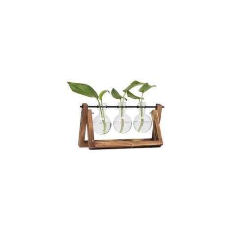 Vases Ampoule en Verre Vase Vintage, Plantes Hydroponiques Pot de Fleurs