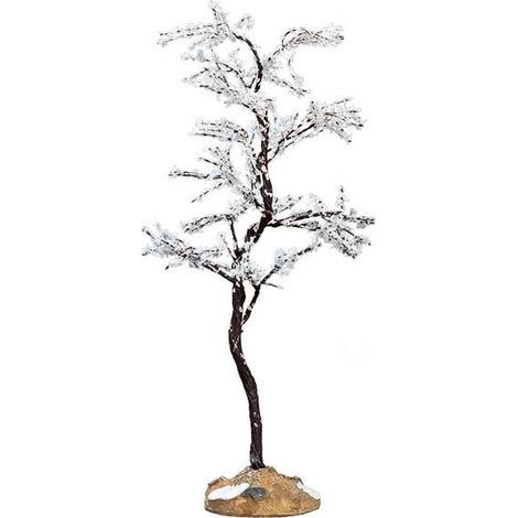 Morning Dew Tree, Medium Cod. 74250