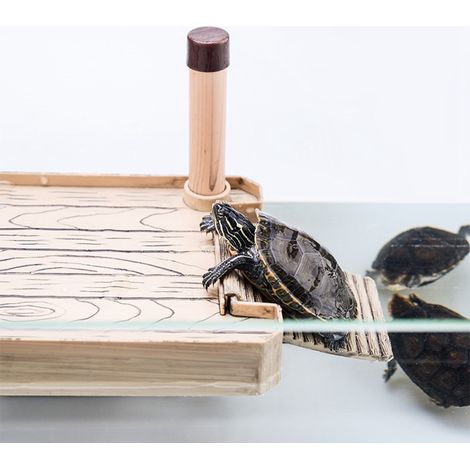 Plateforme de Baignade pour Tortues Flottante Île Moyen - AUTRES (1/5)