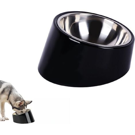 Slanted bowl for dogs and cats
