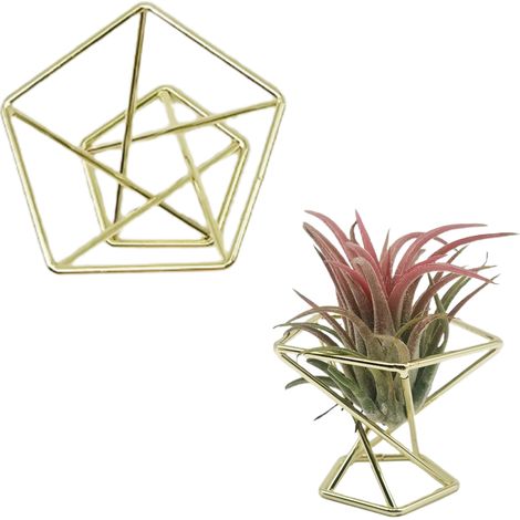 Porte-Plante Géométrique Étagère Aérienne en Métal Doré pour Tillandsias - Support Déco Moderne Pentagone 5 Colonnes spiralées 5.5cm x 4.5cm (1/5)
