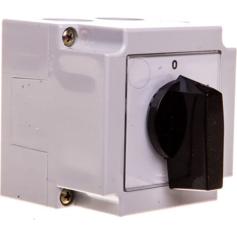 Nockenschalter 0-1 4P 10A im Gehäuse 4G10-92-PK R014 63-840398-011