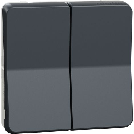 Mureva Styl - Doppel-Drucktaster - modular - IP55 - IK07 - grau - SCHNEIDER ELECTRIC - MUR35326
