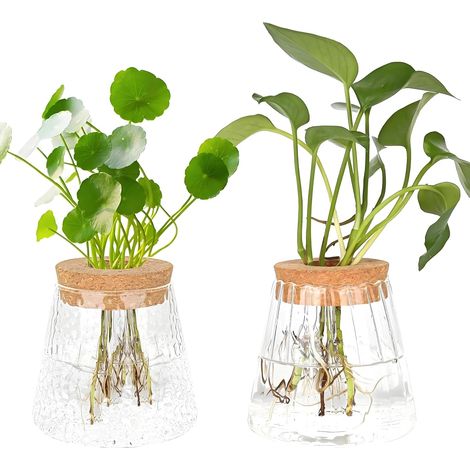 Lot de 2 petits vases pour plantes hydroponiques - Pour décoration de table - Vase en verre - Station de propagation - Vase sphérique pour plantes, fleurs, plantes d'intérieur (1/5)