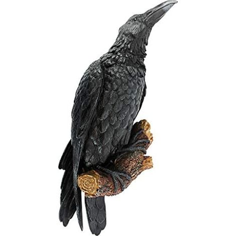 Corbeau sur Perchoir, Sculpture Murale Gothique Halloween Décor Décoration Toscane, 46 cm, Résine Polie, Figurine Noire pour Intérieur, Pièce Unique (1/5)