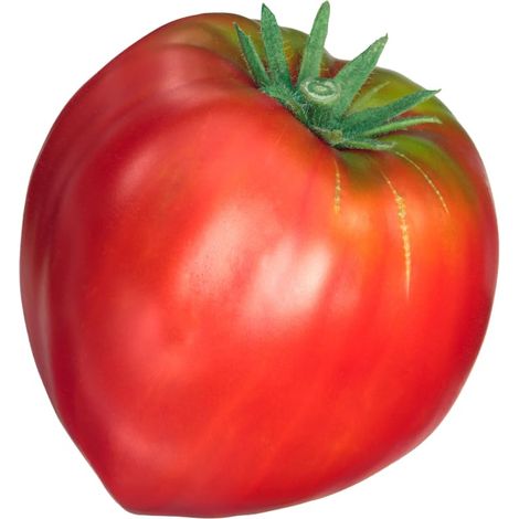 Graines Tomate Cœur de Bœuf OXHEART
