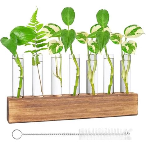 Nizirioo Station De Propagation Hydroponique - Vase en Verre avec Support en Bois, Brosse et 8 Tubes À Essai pour Plantes - Décoration (1/5)