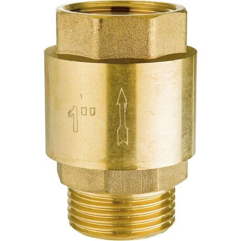 Clapet anti-retour en laiton, clapet anti-retour d\'entrée et de sortie fileté 1", adapté aux conduites d\'eau, compteurs d\'eau, chauffe-eau (1/4)