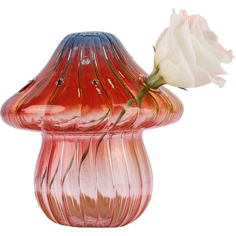 Vase en verre Mushroom - Modèle Art Déco - Hydroponie/Aromathérapie (11.5x11.5x13cm) - Pack sécurisé boîte foam (1/4)