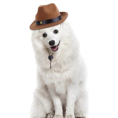 Sombrero para mascotas Perro Guapo Estrella de cinco puntas (1/5)