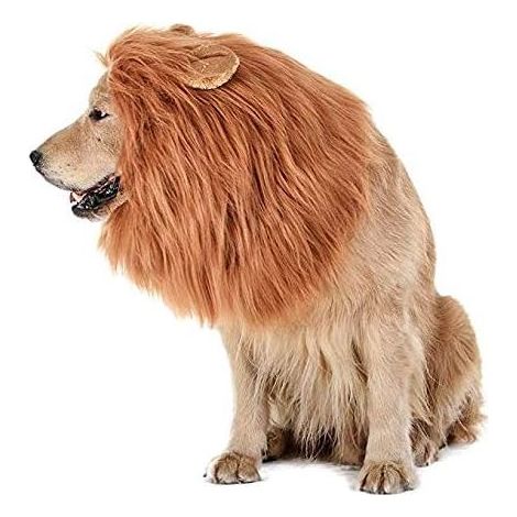 Déguisement de chien Lion - Costume d'Halloween amusant, complément idéal au déguisement de chien Lion (Marron) (1/5)