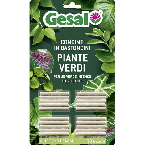 Concime in bastoncini per piante verdi – 20 pezzi – GESAL – Nutrimento equilibrato e foglie brillanti (1/4)