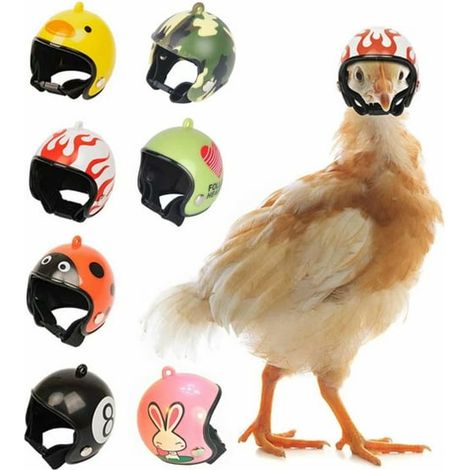 Casque de protection pour poulet, perroquet, oiseau, accessoire de costume pour canard, volaille, poule, perruche - Lot de 7 pièces (1/5)