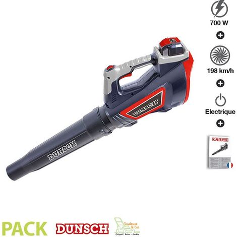 Souffleur sans fil 40V 650 m³/h DU50040B3 Dunsch (1/5)