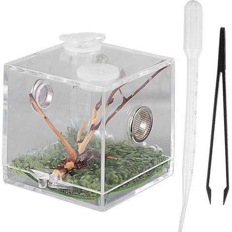 Reptilienzuchtbox mit Pipette und Pinzette, transparentes Terrarium – 5,2 x 5,2 x 5,2 cm (1/4)