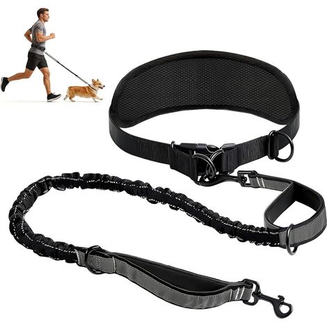 Laisse de jogging pour chien avec sangle ventrale - Laisse pour chien avec double poignées - Laisse mains libres - Ceinture ventrale élastique - Laisse pour chien pour la randonnée, le jogging (1/5)