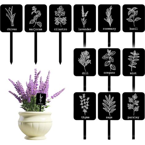 CCYKXA 24 Acryl-Pflanzenetiketten, 12 verschiedene Ausführungen, Gartenkräuter-Markierungen, Pflanzenstützen, wasserfeste schwarze Gewächshausetiketten