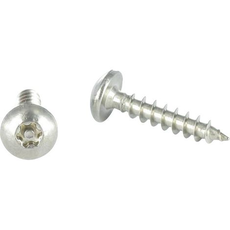 Vis Penture Inviolable TORX T30 avec téton 6X40 Inox A2-10 pièces
