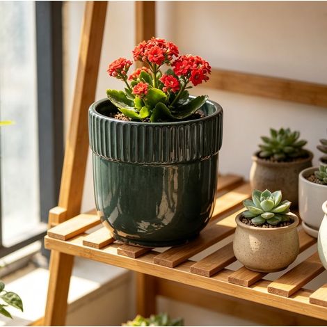 Vaso da fiori Ø 23 cm in ceramica lavorata a mano, verde scuro lucido, con rilievo a coste, adatto per uso interno ed esterno. (1/5)