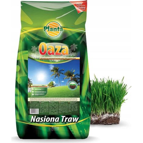 Semillas de pasto Oasis - Planta - 5 kg - pasto para áreas secas y arenosas 1 unidad. (1/5)