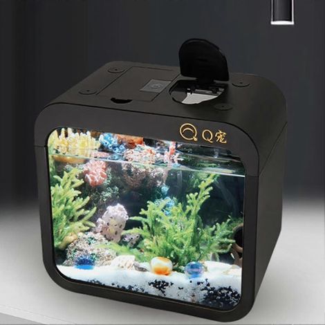 Aquarium économe en énergie, élégant et réutilisable, en forme de coquille avec fenêtre d'alimentation, terrarium pour poissons, accessoires ménagers (1/4)