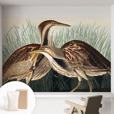 Tapete Vliestapete mit Kleber für Wohnzimmer Schlafzimmer Küche - Wanddekoration  Realistische Vögel 152x104 cm (1/5)