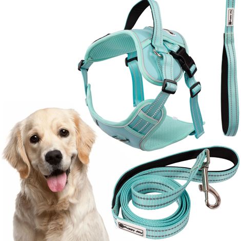 TUTUMI HUNDELEINE UND GESCHIRR PJ-065 XL GREEN