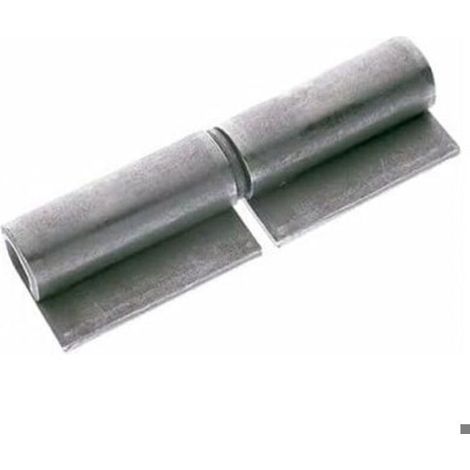 Charniere à Souder Gond Porte à Souder avec 2 Ailes 14 x 80 MM Pivot de Porte en Acier (1/3)