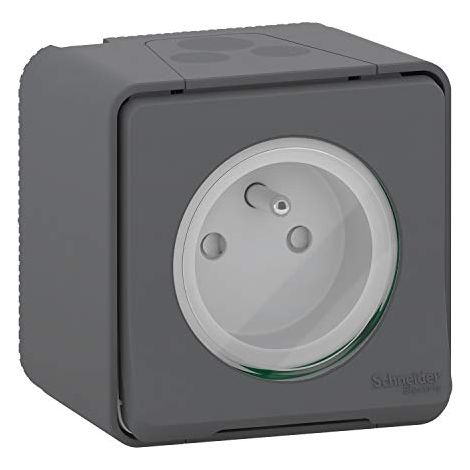 Schneider Electric – Prise de courant 2P+T à vis – saillie – IP55 – IK08 – gris RAL 7016 – 16A 250VCA – Entrées de câble Ø 6 à 12mm