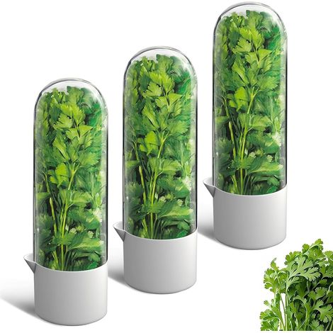 Lot de 3 conservateurs d'herbes pour réfrigérateur, récipient de coriandre, conservation des légumes pour coriandre, menthe, persil, asperges, garde les légumes frais pendant 2 à 3 semaines