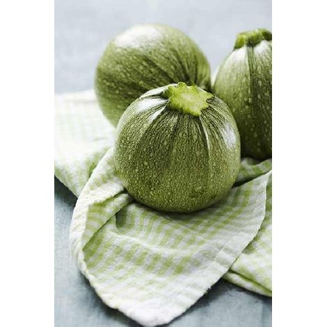 Courge Géode Hyb F1 - 2g
