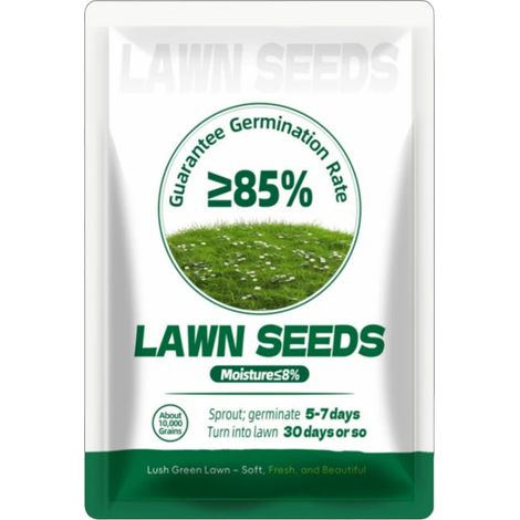 500 g de graines de gazon — Graines d'herbe persistantes, résistantes au froid et à la sécheresse, pour la stabilisation des pentes et les cours.