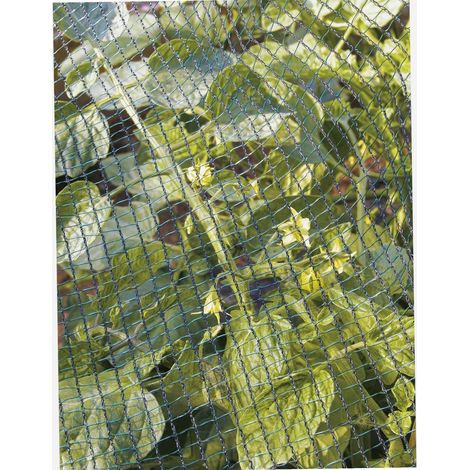 Filet anti-oiseaux 2x5m – Protection contre les insectes et la grêle – Résistant aux UV et au déchirement – Pour plantations et véhicules – Tenax