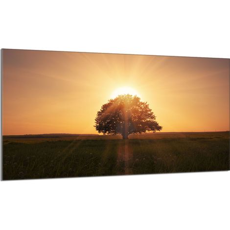 Piastra di protezione per stufa in vetro 90x52 Tree (1/5)