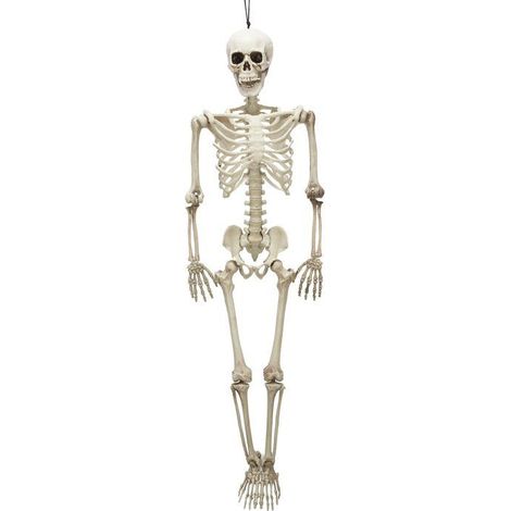 Décos et animations - Squelette articulé 90 cm Halloween (1/3)