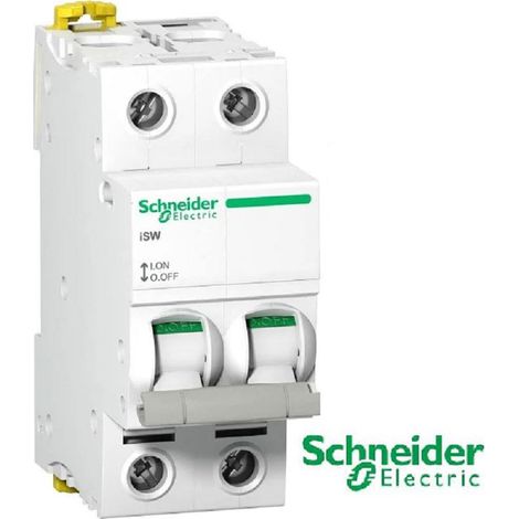Schneider Electric – Disjoncteur bipolaire 2P 63A – Courbe C – Type de commande par maneton – Signalisation ON/OFF – A9S65263