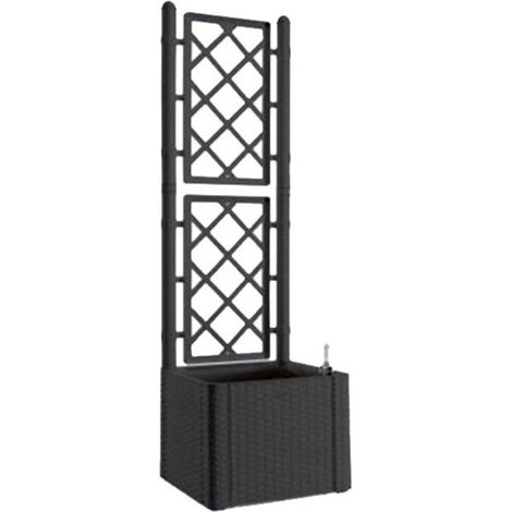 Jardineras Deluxe Qta Antracita Spall. 43 Stefanpl