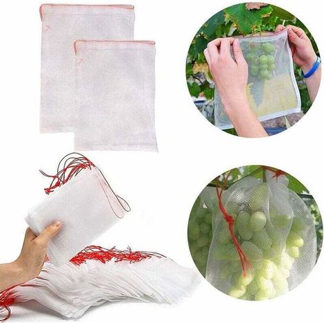 Packung mit 50 insektendichten Netzbeuteln – Nylon-Schutz 25 x 15 cm – Kordelzugverschluss – Für Obst, Pflanzen und Weintrauben (1/4)