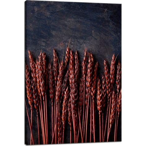 Leinwanddruck Botanik Dunkler Weizen 40x60 cm
