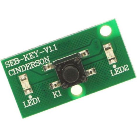 Carte Électronique - RS-2230001510 - Pour Aspirateur Industriel - Compatible Modèles RH947x / TY947x - 1 Pièce