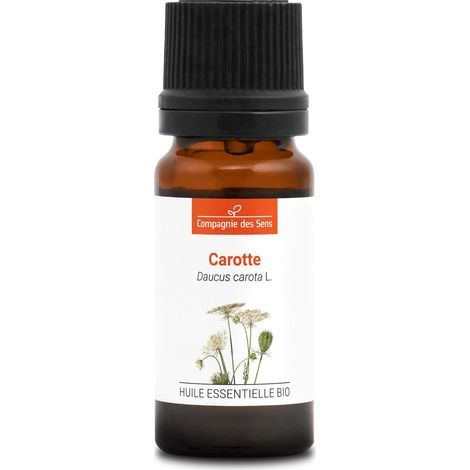 CAROTTE SEMENCES - 10 mL - Huile Essentielle - 100% Pure, Naturelle - Chémotypée et Intégrale (1/3)