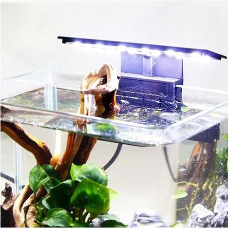 Lampe Aquarium - 6 W - 220 V - SMD 5730 - Pour Aquariums 20 À 40 Cm - Épaisseur Max 6 Mm - 1 Pièce (1/5)