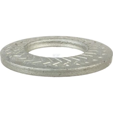 Arandela 16,4/32,5x2,5 Zn5 LEMKEN 30510119