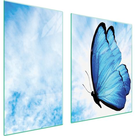 GLASSCHUTZPLATTE FÜR HERD 90x52 BUTTERFLY (1/5)