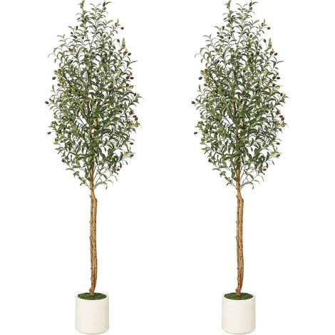 Lot de 2 oliviers artificiels décoratifs – 2,13m, Tronc Bois Naturel, Fruits réalistes, Mousse Verte – en Pot Blanc, intérieur/supplémentaireérieur, Salon ou Bureau – (2pcs) (1/5)