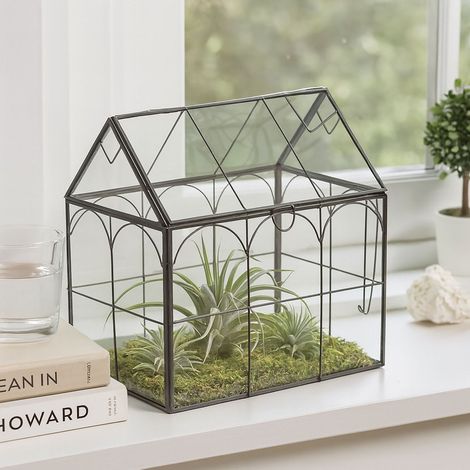 Terrarium en forme de maison de verre pour plantes dinterieur