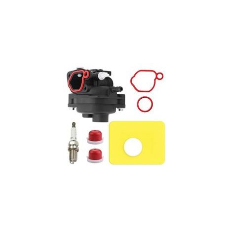 Carburateur de remplacement pour moteur Briggs & Stratton 300E, 450E, 500E OVH 125-140 cm³. Compatible avec les séries 08P502, 09P602. Remplace les numéros 591160, 595656, 591979, 593261. (1/5)