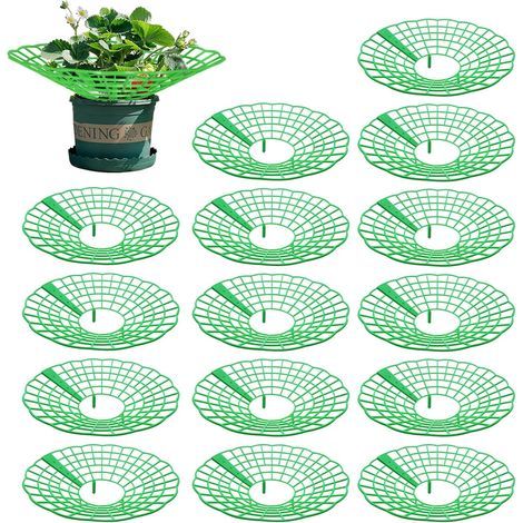 15 Pièces Support Fraisier, Plastique Amovible Supports pour Fraises Diamètre 30.6 cm Support de Culture de Fraises pour Fraise, Légume, Fleur, Plante (Vert) (1/5)