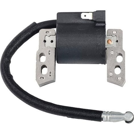 Bobine d'allumage électronique de rechange pour moteurs Briggs & Stratton (références 695711, 802574, 493237, 796964, 492416) (1/5)